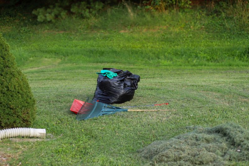 Overgrown Yard Cleanup Tips and Ideas