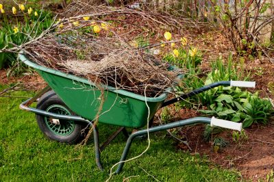 Overgrown Yard Cleanup Promotions
