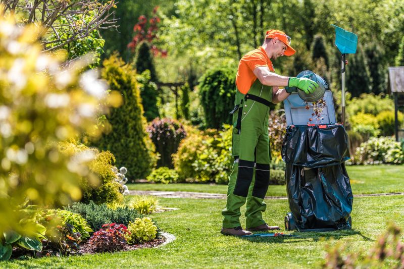 Overgrown Yard Cleanup