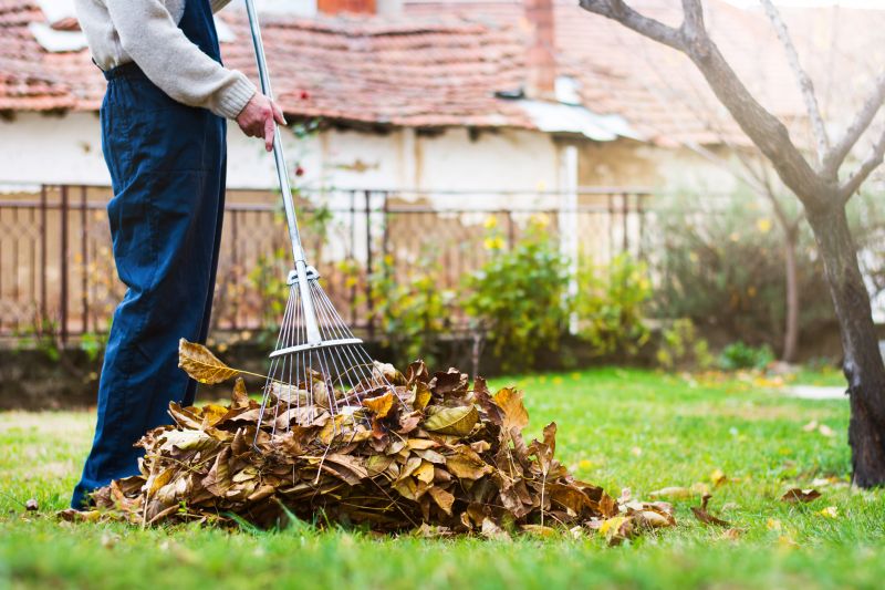 Fall Landscaping Tools