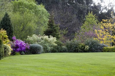 Lawn Maintenance in Bowie, MD