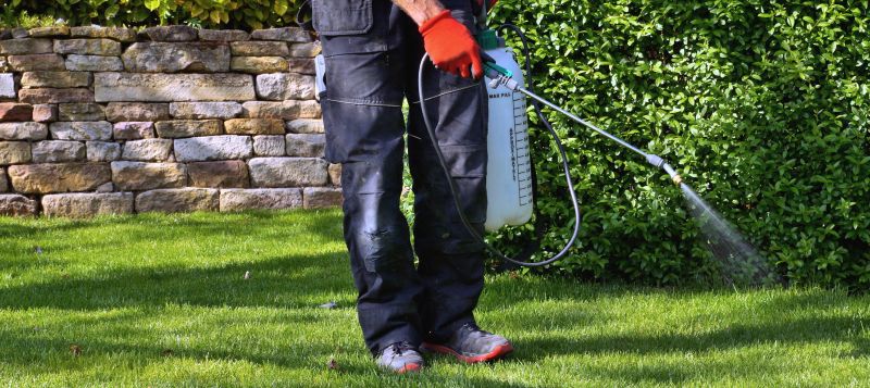 Lawn Weed Treatment in Ventura County, CA