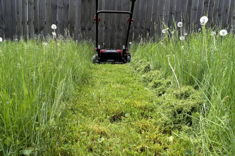 Meadow Mowing in Prince Georges County, MD