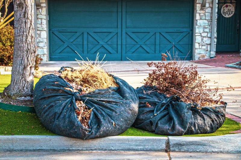 Overgrown Yard Cleanup Cost — Cost of Overgrown Yard Cleanup