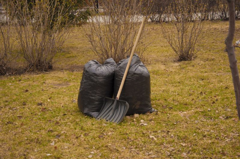 Overgrown Yard Cleanup Cost — Cost of Overgrown Yard Cleanup