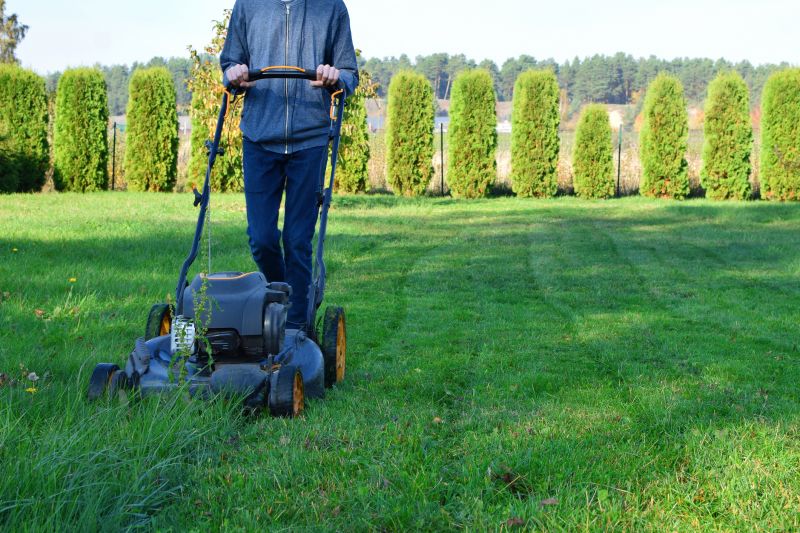 The Difference Professional Lawn Mowing Makes