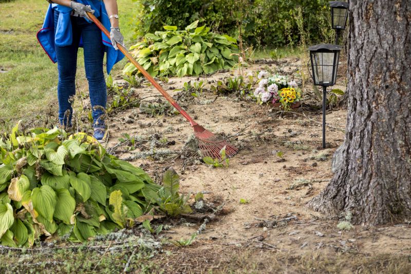 Customer Consultation