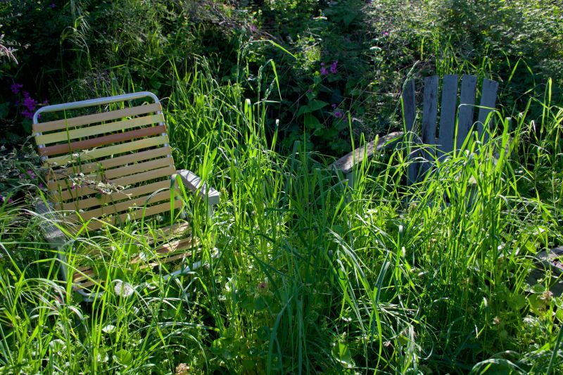 Clearing overgrowth removes hiding spots for pests